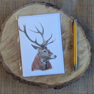 Red Deer Stag Portrait Notelet